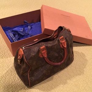 Louis Vuitton Speedy 25 handbag